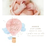"Baby World" - Birth Announcements in Blush by Kanika Mathur - Detail