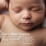 "certified cute" - Birth Announcements in Snow by Sara Hicks Malone - Detail