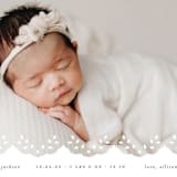 "Eyelet" - Birth Announcements in Taupe by Lauren Chism - Detail