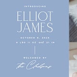 "Announcing Elegance" - Birth Announcements in Periwinkle by Jessica Corliss - Detail