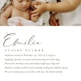 "Our Story" - Birth Announcements in Chocolate by Jessica Williams - Detail