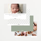 "Understated" - Birth Announcements in Lily by Sara Hicks Malone - Back of Card Options
