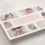 "Family Album" - Birth Announcements in Blush by Maria Alou - Detail