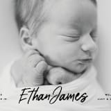 "Just The Facts" - Birth Announcements in Volcano by Owl and Toad - Detail