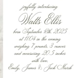 "Walden" - Birth Announcements in Fern by Megan Davis - Detail