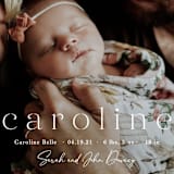 "Classically Stated" - Birth Announcements in Sugar by Sara Hicks Malone - Detail