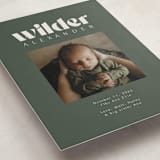 "Big Type" - Birth Announcements in Forest by Kristen Knechtel - Detail