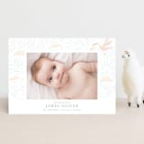 "Stork Delivery" - Birth Announcements in Blush by Hallie Fischer - Front