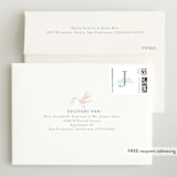 "Stork Delivery" - Birth Announcements in Blush by Hallie Fischer - FREE Recipient Addressing