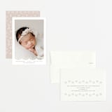 "Eyelet" - Birth Announcements in Taupe by Lauren Chism - Assembled