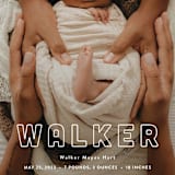 "snug" - Birth Announcements in Powder by Sara Hicks Malone - Detail