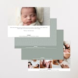 "Delicate" - Birth Announcements in Powder by Sara Hicks Malone - Back of Card Options