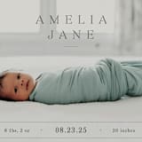 "Vintage" - Birth Announcements in Fog by Sara Hicks Malone - Detail