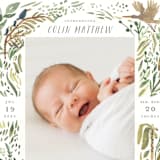 "Jungle Friends" - Birth Announcements in Jungle by Morgan Ramberg - Detail
