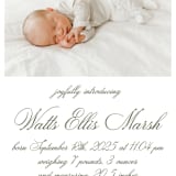 "Walden" - Birth Announcements in Fern by Megan Davis - Detail