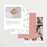 "Little Deer" - Birth Announcements in Ivory by Susan Moyal - Back of Card Options