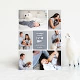 "Distinguished" - Birth Announcements in Graphite by Sara Hicks Malone - Front