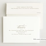 "Mist" - Birth Announcements in Parchment by Everett Paper Goods - FREE Recipient Addressing