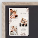 "Modern Botanica" - Birth Announcements in Rose by Oma N. Ramkhelawan - Front