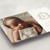 "Crested" - Birth Announcements in Fawn by mo kelley - Detail