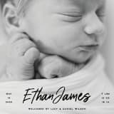 "Just The Facts" - Birth Announcements in Volcano by Owl and Toad - Detail