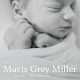 "simple in serif" - Birth Announcements in Snow by Bramble Studio - Detail
