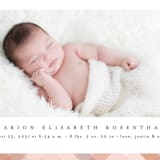 "Desert Plaid" - Birth Announcements in Terracotta by Erica Krystek - Detail