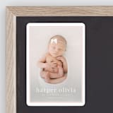 "Portraiture" - Birth Announcements in Rose by Alexandra Cohn - Front