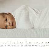 "Rustic" - Birth Announcements in Chestnut by Ekko Studio - Detail