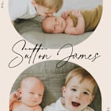 "PALS" - Birth Announcements in Ink by Carolyn MacLaren - Detail