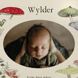 "Woodland wonder" - Birth Announcements in Lichen by Bonnie Davis - Detail