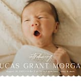 "First Glimpse" - Birth Announcements in Icing by Yaling Hou Suzuki - Detail