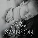 "Focus" - Birth Announcements in Snow by Yaling Hou Suzuki - Detail