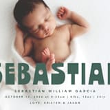 "Boldly Named" - Birth Announcements in Forest by Anna Elder - Detail