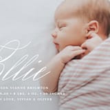 "Precious Script" - Birth Announcements in Sugar by Jessica Williams - Detail