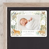 "Jungle Friends" - Birth Announcements in Jungle by Morgan Ramberg - Front