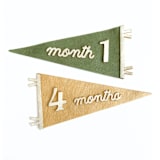 "Custom Color - Pennant Flag Milestone Set" - Baby Milestone Signs in multicolorassorted-colors by Haven Print Co.