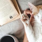 "Custom Name Sleepy Cat Book Stamp | Book Lover Gift" - Book Stamp in black by Samantha Malvey