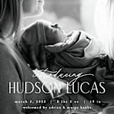 "Little Introduction" - Birth Announcements in Stone by Pixel and Hank - Detail