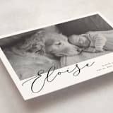 "First-Name Basis" - Birth Announcements in Onyx by Genna Blackburn - Detail