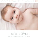 "Stork Delivery" - Birth Announcements in Blush by Hallie Fischer - Detail