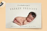 "Organic Newborn" - Birth Announcements in Midnight by Carolyn MacLaren - Front
