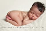 "Organic Newborn" - Birth Announcements in Midnight by Carolyn MacLaren - Detail