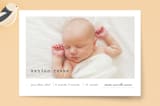 "On Display" - Birth Announcements in Soft Grey by Sara Hicks Malone - Front