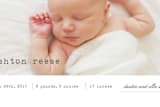 "On Display" - Birth Announcements in Soft Grey by Sara Hicks Malone - Detail