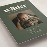 "Big Type" - Birth Announcements in Forest by Kristen Knechtel - Detail