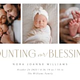 "Counting Those Blessings" - Birth Announcements in Sugar by Robert and Stella - Detail
