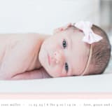 "Cotton Candy" - Birth Announcements in Blush by Lauren Chism - Detail