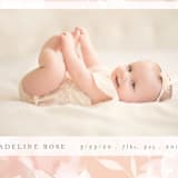 "blush branches" - Birth Announcements in Blush by Angela Thompson - Detail