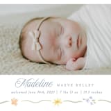 "Petite Garden" - Birth Announcements in Bouquet by Robert and Stella - Detail